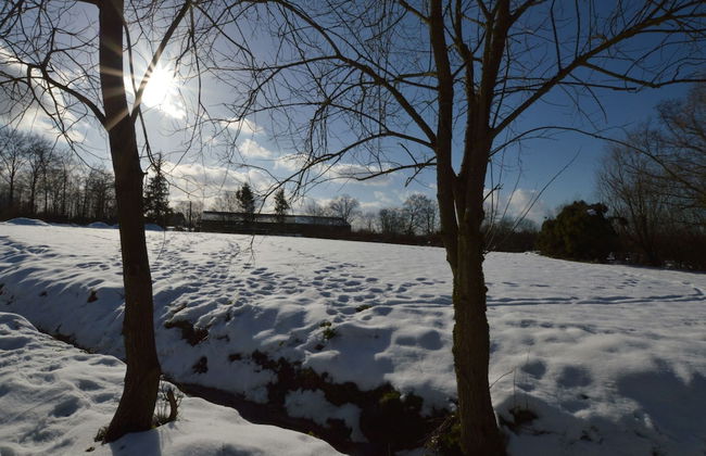 Quaint Cottage in Mont near High Fens Nature Park - Foto 36