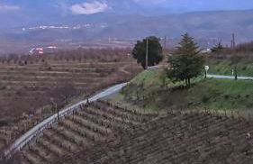 Casa da quelha- Arnozelo (Alto Douro Vinhateiro) - Foto 10