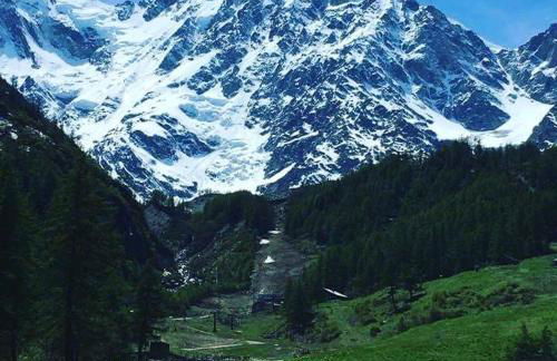 Coccinella House - Foto 28