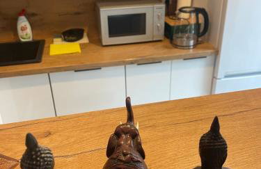 Apartament z dużym tarasem - najbliżej PreZero - Foto 46