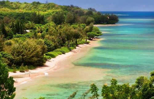 Utopia Beach Front Estate - Foto 19