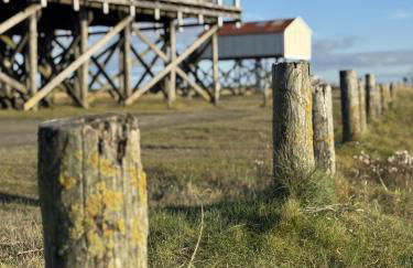 Im Bad, strandnah und zentral - Photo 25