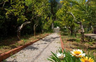 Villa Gelsomini - Foto 30