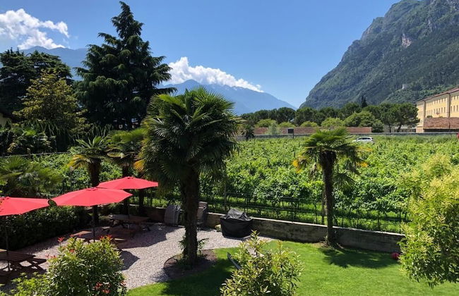 ALBOLA SUITE Holiday Apartments - Foto 49