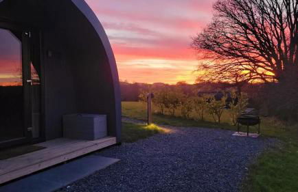 Odli Glamping - Aderyn - Photo 7