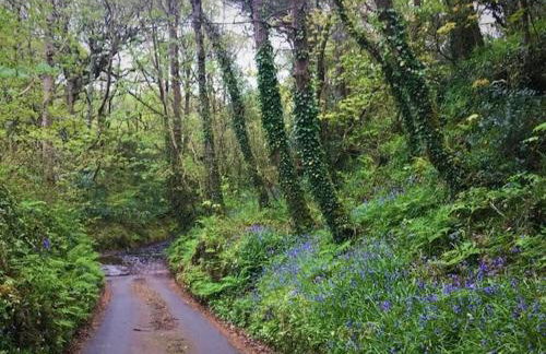 Cleave Cottage - Foto 23