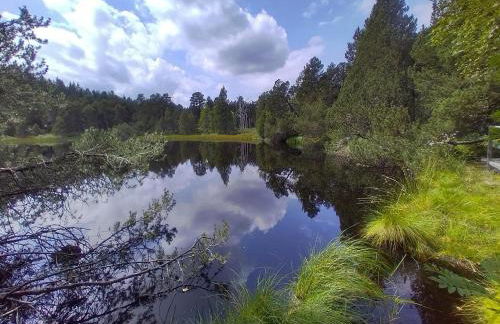 VilaMi Ferienwohnung - Foto 32