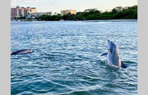 Luxury Beach Condo Located On The Bay In A Tropical Oasis!!! - Foto 35