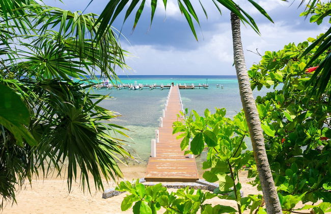 Lawson Rock - Angelfish 100 - Foto 13