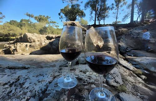 Cabana Pequeno Bosque som dás Águas - Foto 64