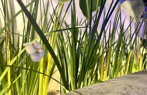 Casa Matutina Colonial-Conforto Moderno no Centro Histórico - Foto 34