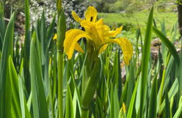 Yukon Cottage at Pink Heather - Stunning North Devon Escape - Foto 10