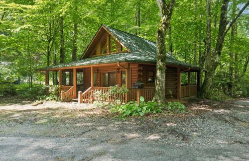 Cozy Creekside Cabin with Wraparound Porch home - Foto 1