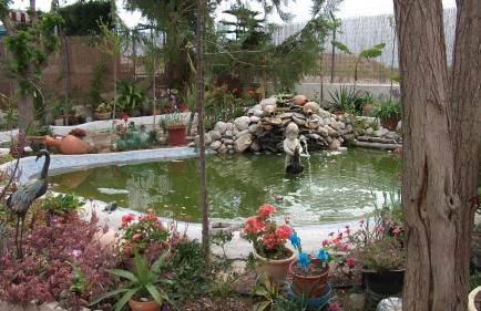 Casa Rural Mi Campo - Foto 36