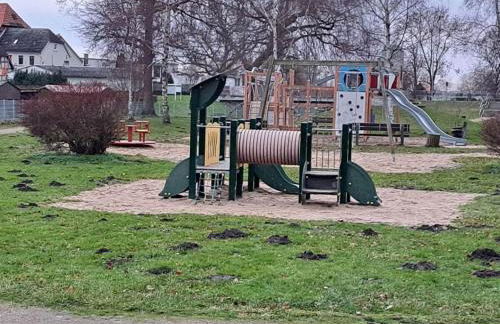 Holiday home Neukalen Comfortable holiday residence - Foto 8