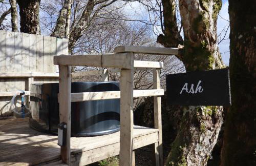 Ash Cabin with Hot Tub - Foto 25