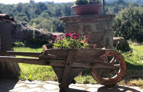 Podere Mazzarelle - Foto 53