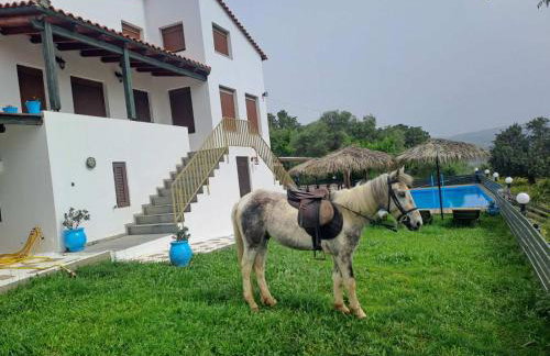 Villa Skantali - Foto 83