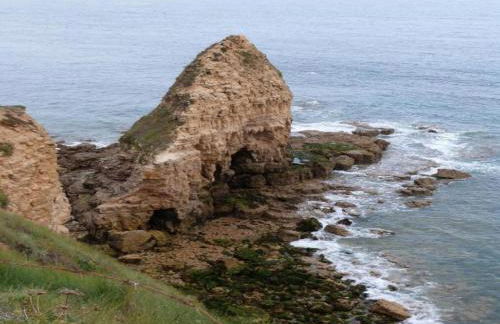 Golden Light Cottage Escape - Foto 37