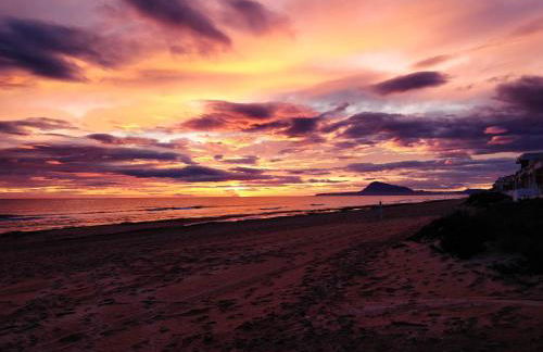 Hello Oliva Beach Alter - Photo 30