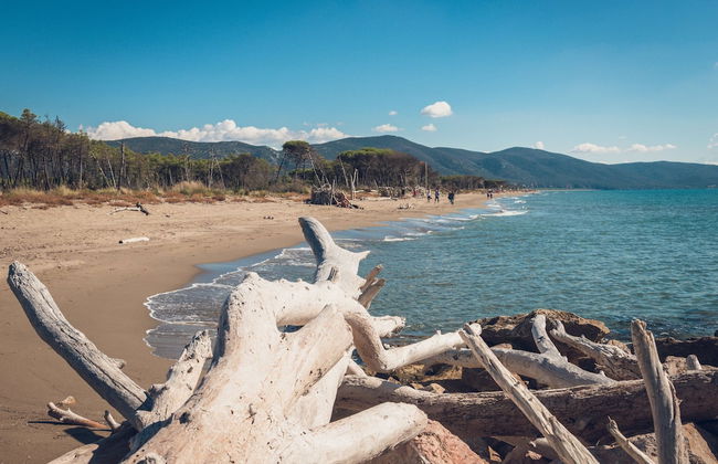 Poggiolivi Agriturismo Bio in Maremma - Photo 52