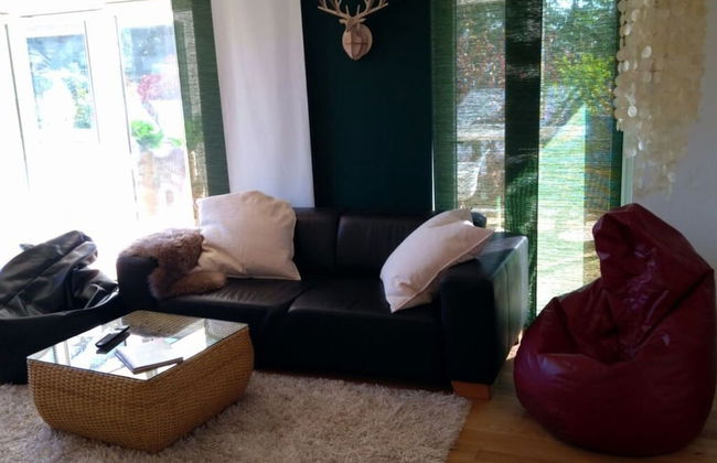 Pine Cones in the Haslehaus - Foto 1