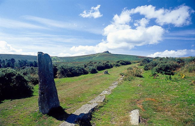 Broadshade Holiday Apartments - Foto 64