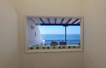 Erizo de mar - Foto 15