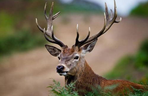 The Gardeners Cottage - Foto 15