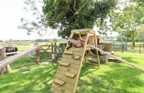 Pipistrelle - Foto 24