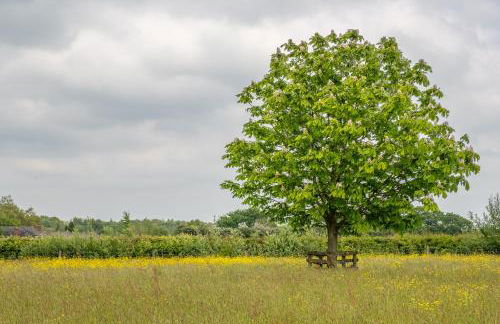 Elegant luxurious cottage - The Dove House - Foto 49