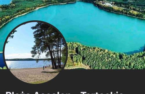 Komfortowy dom w lesie - Foto 27