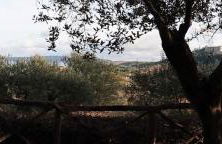 La Cerasa - il Lago fuori - Foto 72