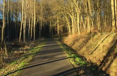 Ferienwohnung Krautfassblick - Foto 21
