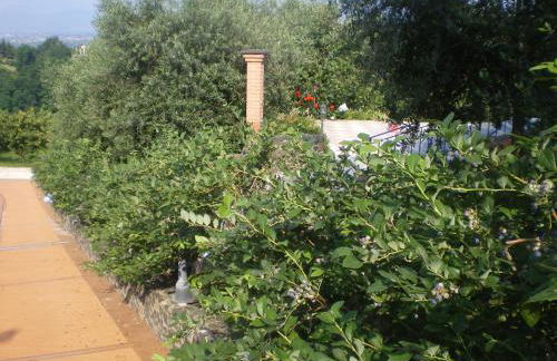 Tenuta Fortelongo - Foto 107