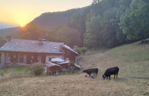 Les Chevreuils - Photo 23