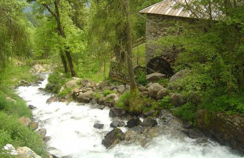 Residence Cavallino - Foto 23