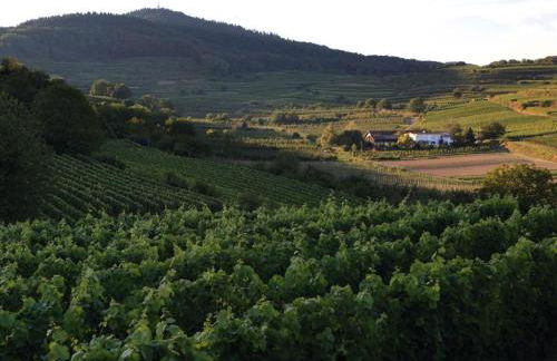 Ferienwohnung Schambachhof - Foto 1