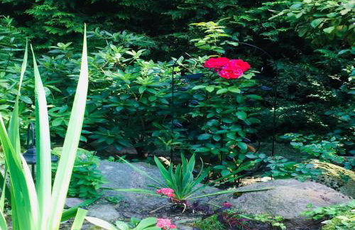 Holiday Home near Forest and Lake in Pomeranian - Foto 23