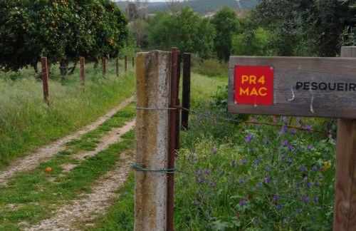 Villa Ortiga - Foto 23