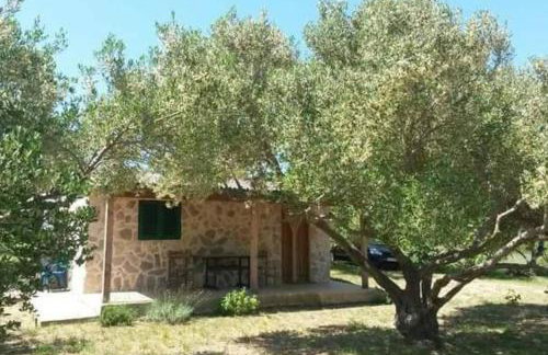 Robinson house Sea & olives - Photo 6