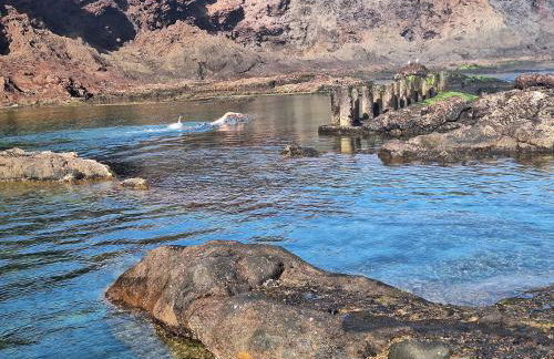 Natura punta - Foto 19