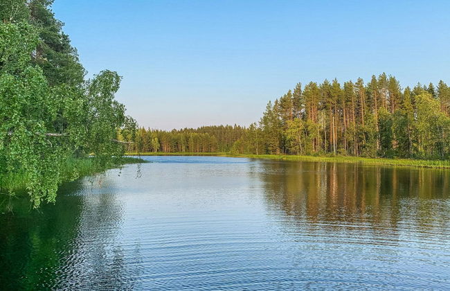 Majavanpesä - Photo 4