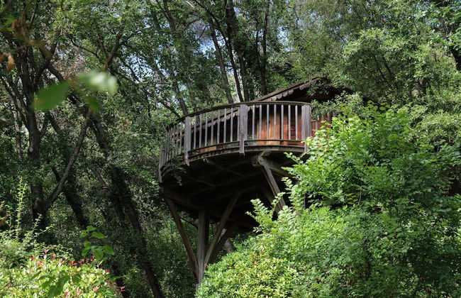 Orion Tree houses - Foto 46