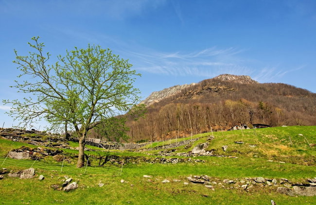 Rustico Esterina - Foto 19