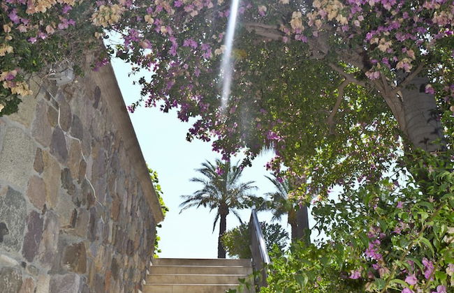 Palmiye Tepesi - Foto 76