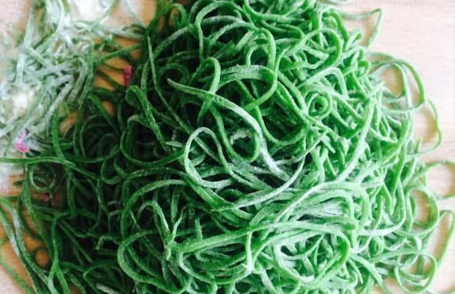 Bio Agriturismo Valle dei Calanchi - Foto 34