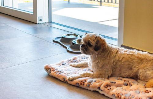 Maso Valèr - Agritur - Foto 32