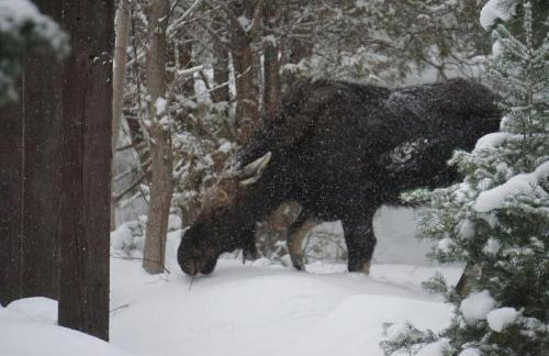Mountain Apartment Located in BigCottonwood Canyon - Foto 21