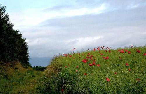 House Thor - Huus Asgard - Foto 19